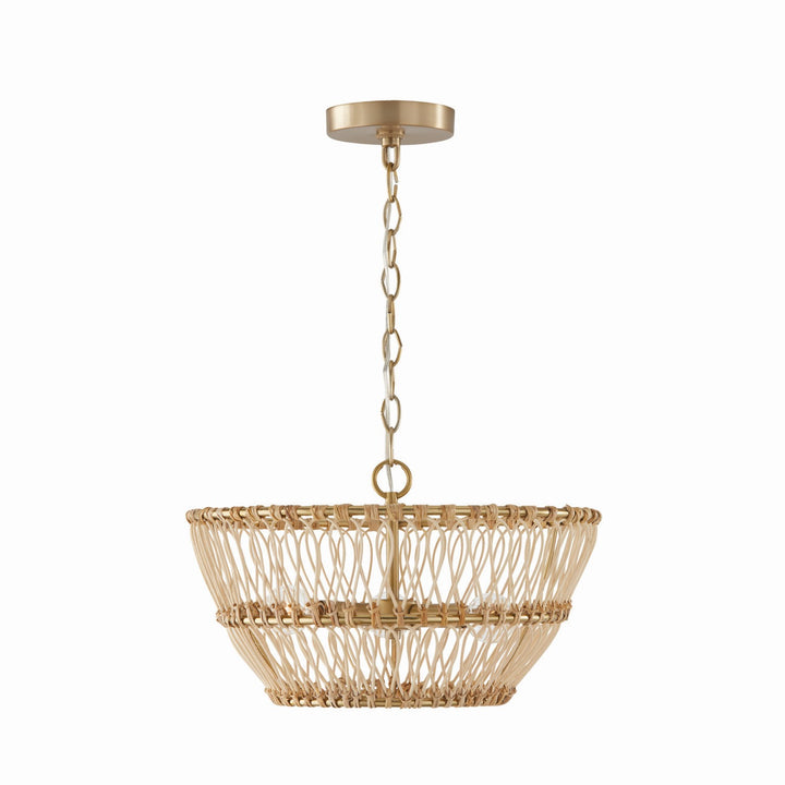 Capital Wren 244131MA Ceiling Light - Matte Brass