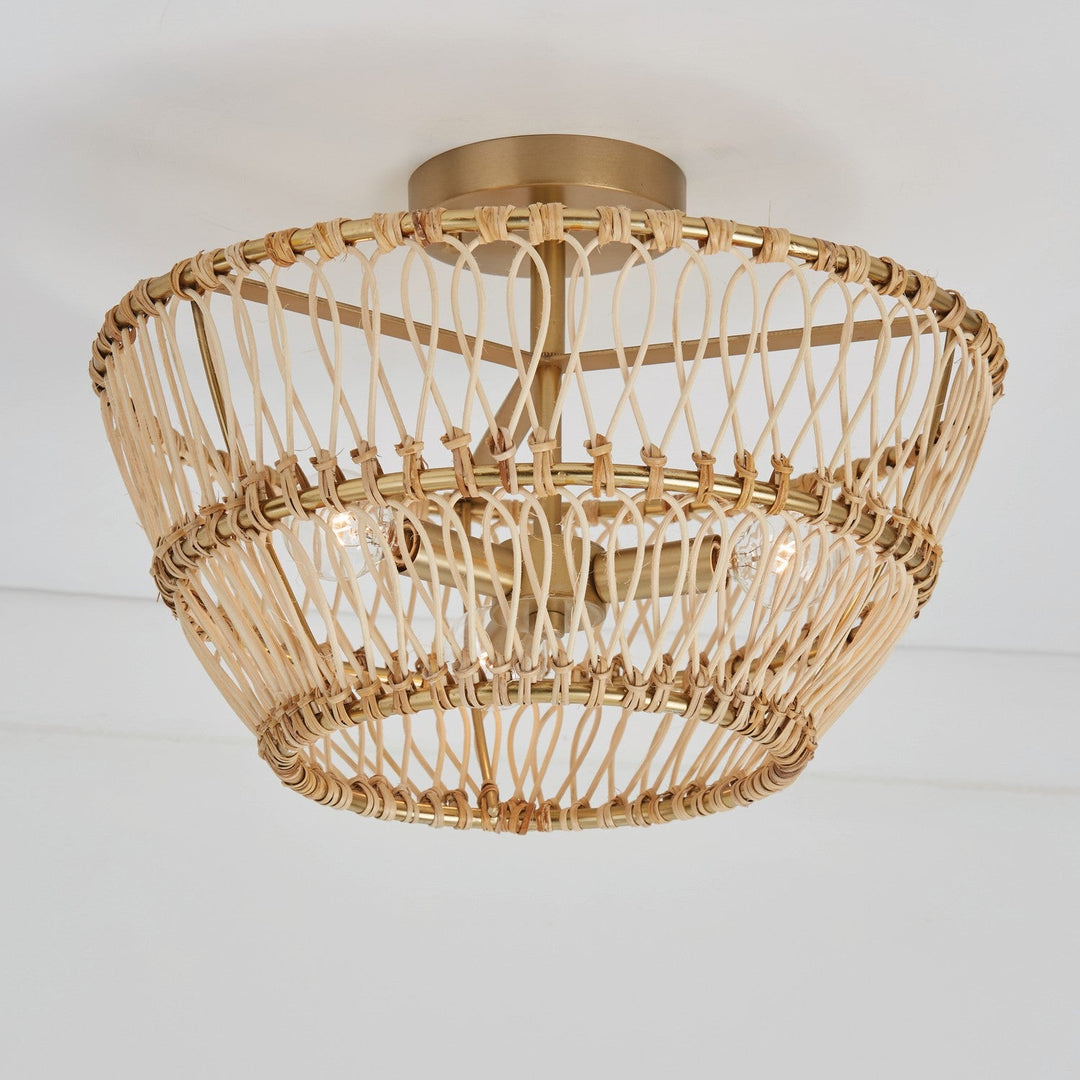 Capital Wren 244131MA Ceiling Light - Matte Brass