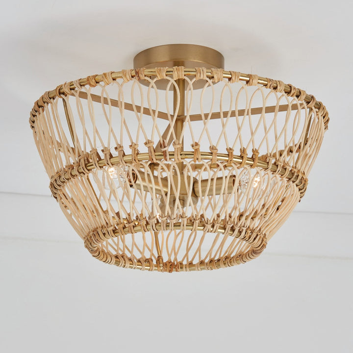 Capital Wren 244131MA Ceiling Light - Matte Brass