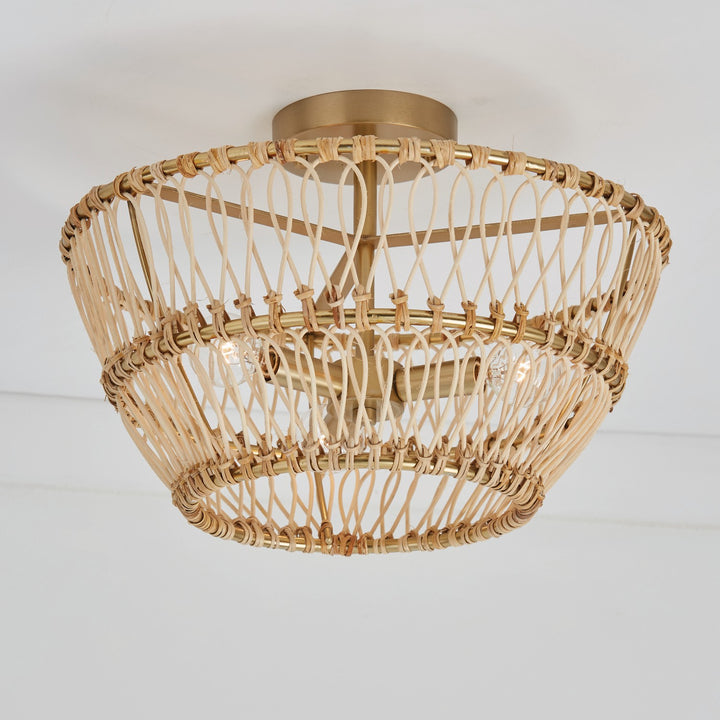 Capital Wren 244131MA Ceiling Light - Matte Brass