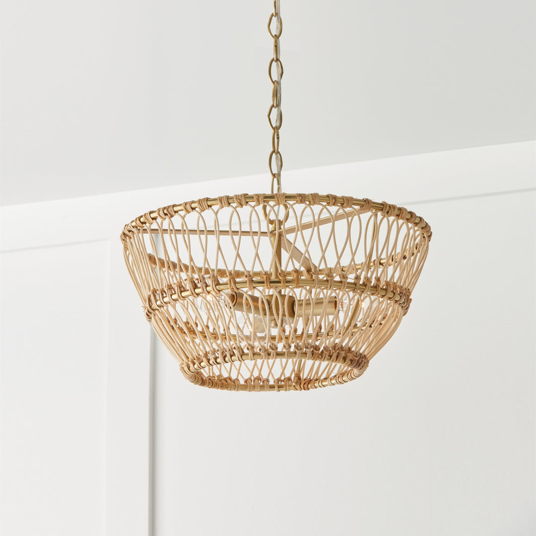 Capital Wren 244131MA Ceiling Light - Matte Brass