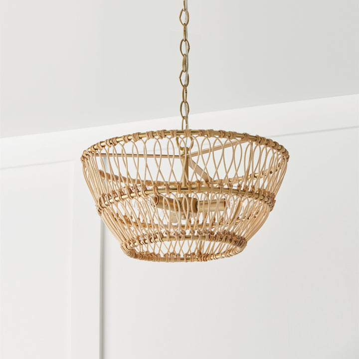 Capital Wren 244131MA Ceiling Light - Matte Brass