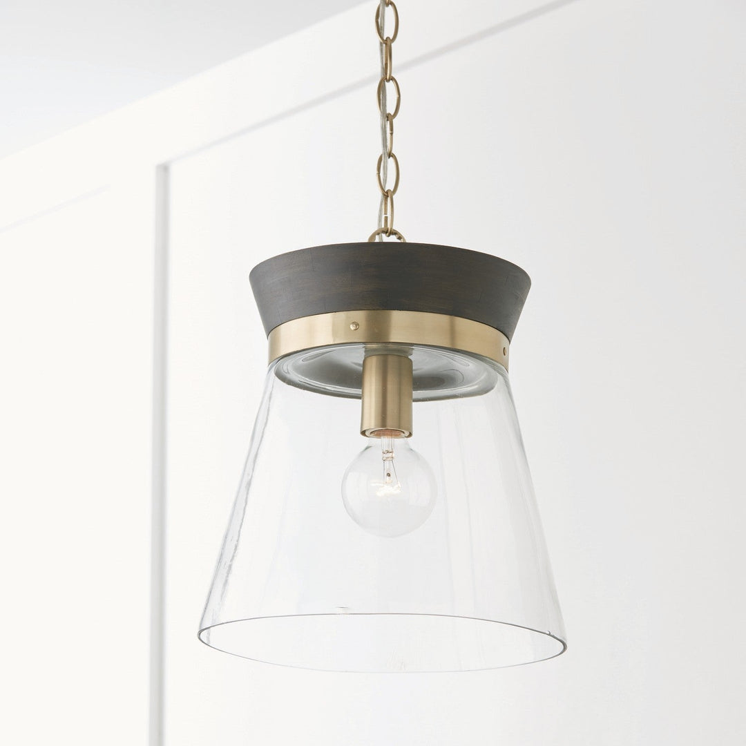 Capital Finn 347311KR Pendant Light - Black Stain and Matte Brass