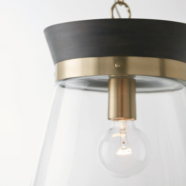 Capital Finn 347311KR Pendant Light - Black Stain and Matte Brass