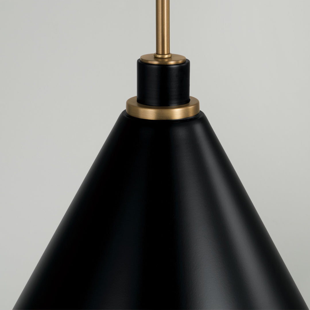 Capital Bradley 350112AB Pendant Light - Aged Brass and Black