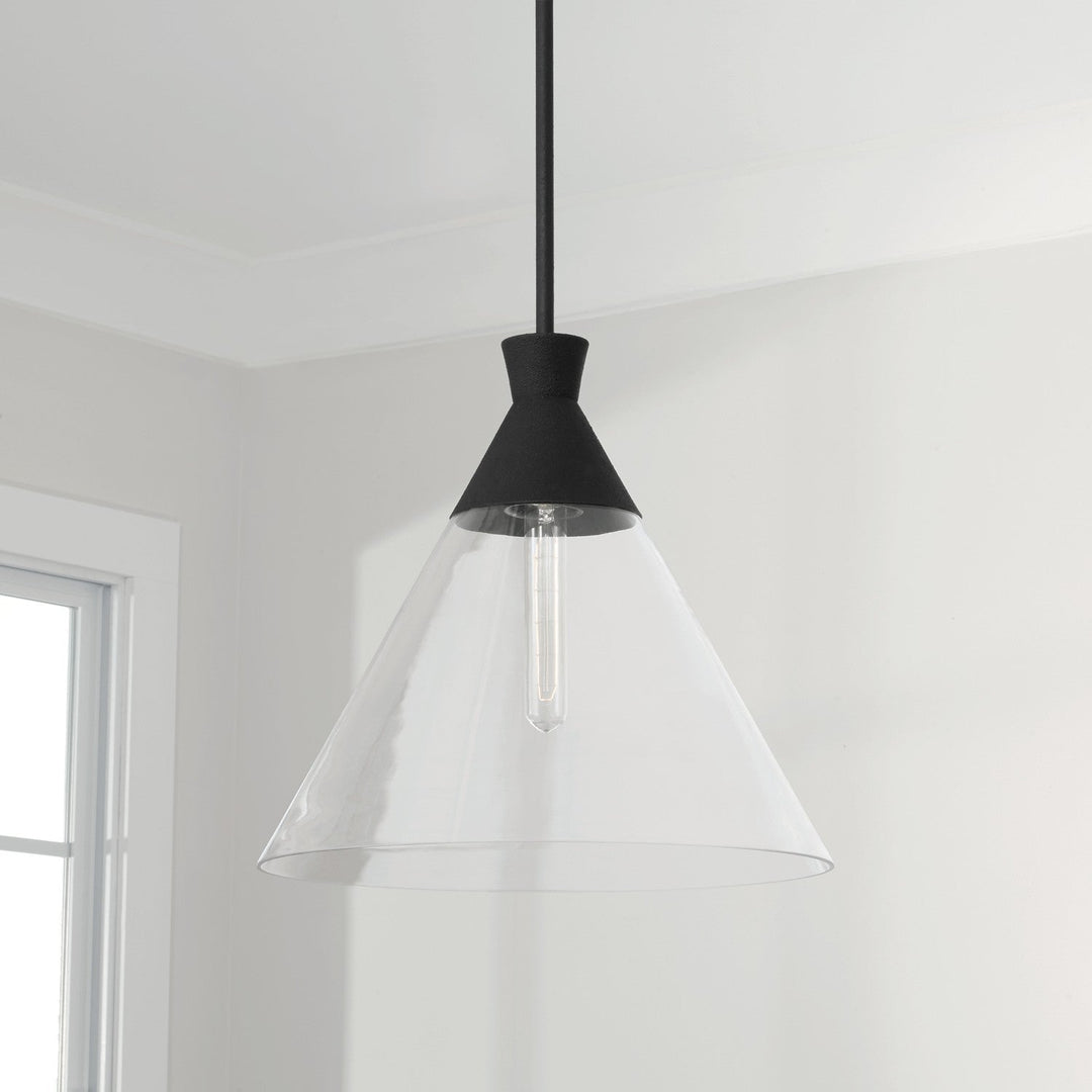 Capital Paloma 350311XK Pendant Light - Textured Black