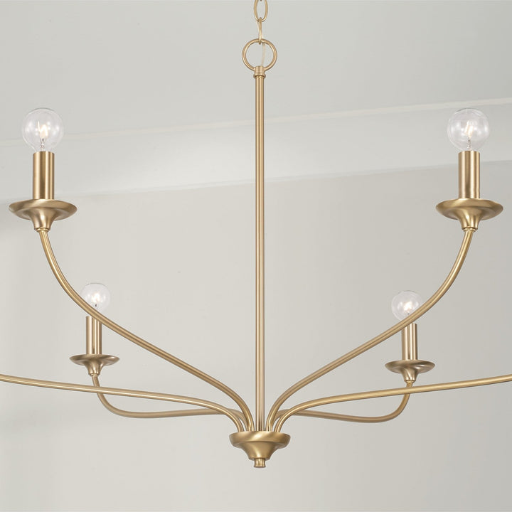 Capital Dolan 449961MA Chandelier Light - Matte Brass