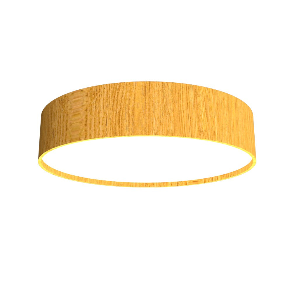 Accord Cylindrical 529LED.43 Ceiling Light - Cathedral Freijo