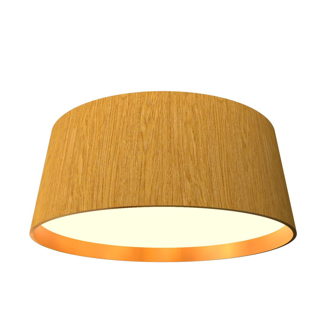 Accord Conical 5098LED.43 Ceiling Light - Cathedral Freijo