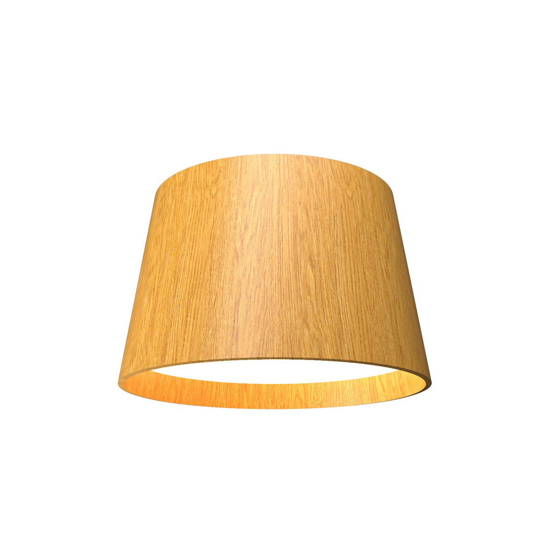 Accord Conical 5100LED.43 Ceiling Light - Cathedral Freijo