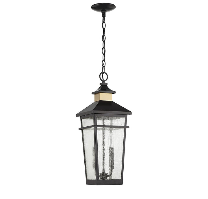Savoy House Lighting 5-717-143  Kingsley Outdoor Matte Black With Warm Brass