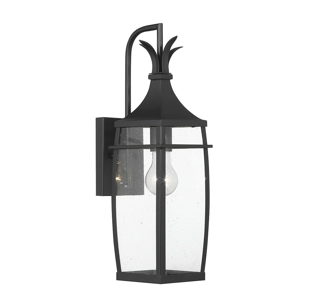 Savoy House Lighting 5-768-BK  Montpelier Outdoor Matte Black