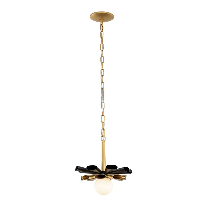 Varaluz Daphne 372P01SMBFG Pendant Light - Matte Black/French Gold