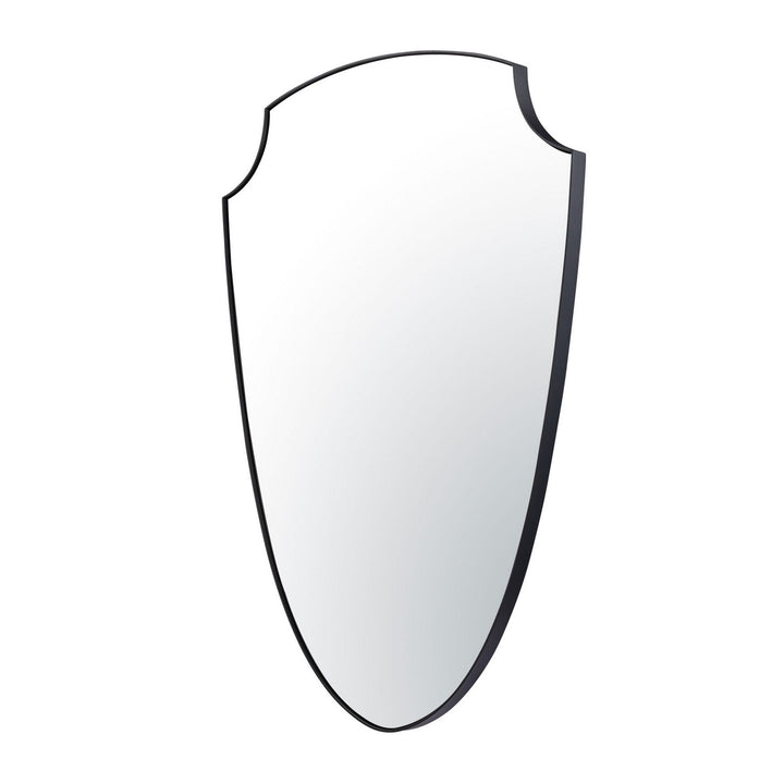 Varaluz Lighting 441MI24BL  Shield Your Eyes Mirror Black