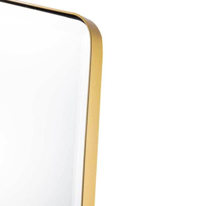 Varaluz Lighting 443MI22GO  The Fun Trap Mirror Gold