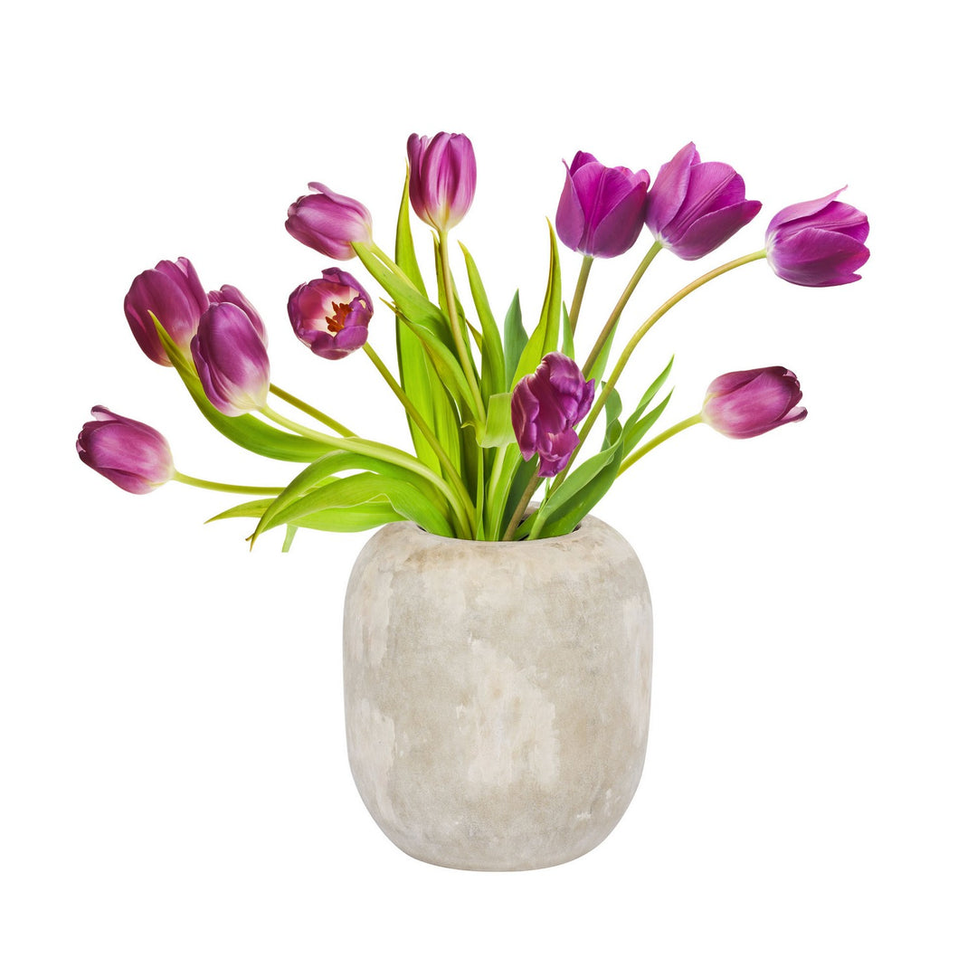 Varaluz Lighting 445VA05A  Potty Home Decor Cafe Au Lait
