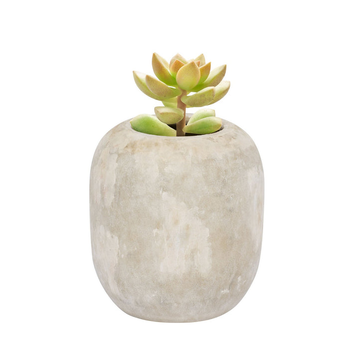 Varaluz Lighting 445VA05A  Potty Home Decor Cafe Au Lait