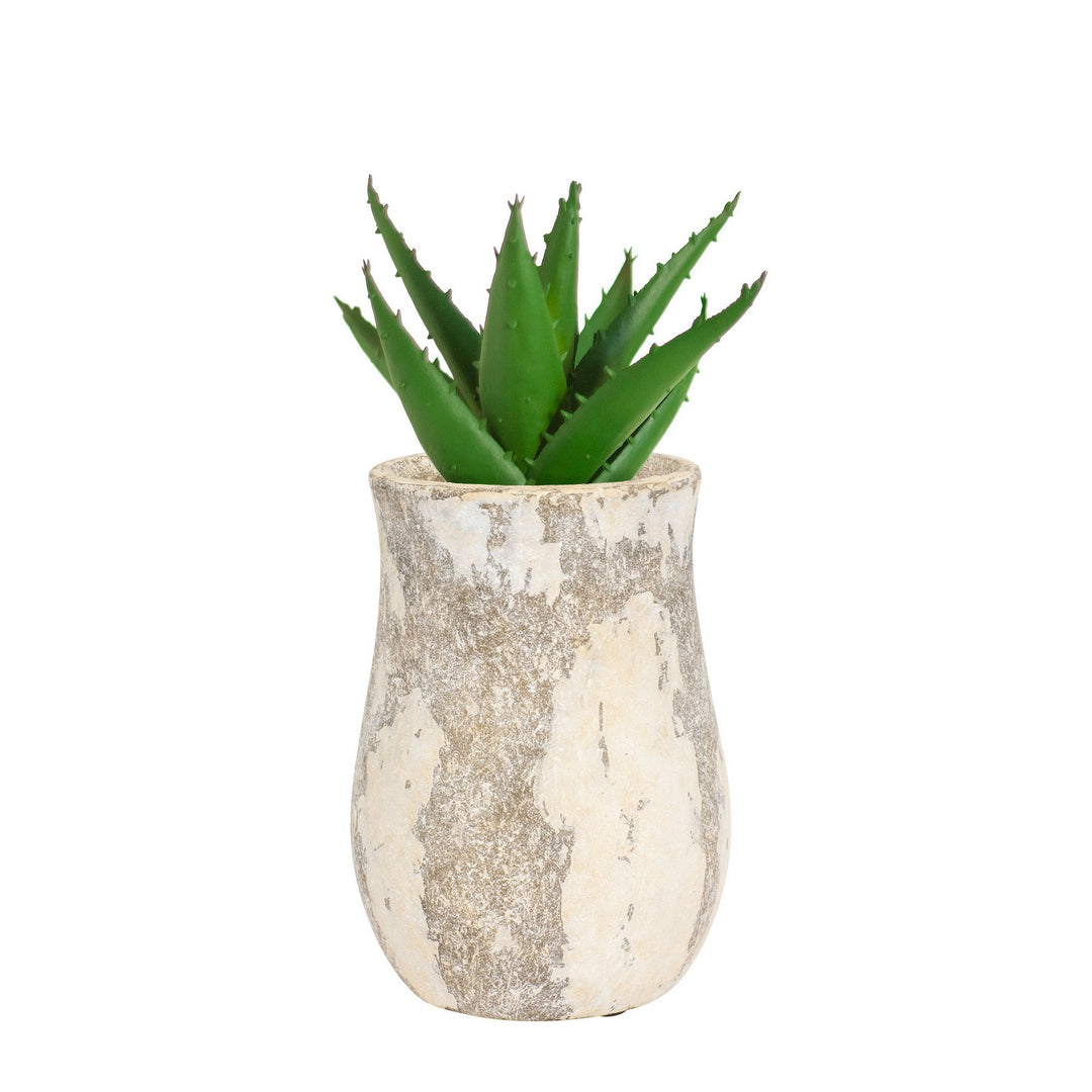 Varaluz Lighting 445VA05D  Potty Home Decor Distressed Cafe Au Lait