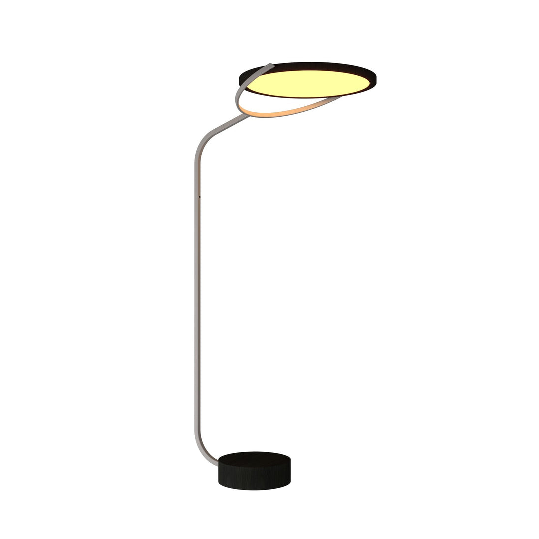 Accord Lighting 3039LED.44 Naia Led Floor Lamp Floor Lamp Charcoal
