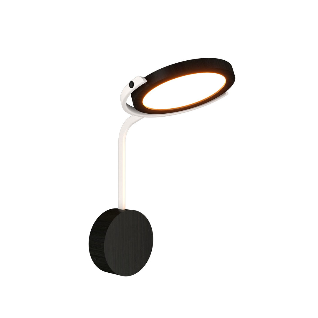 Accord Naia 4149LED.44 Wall Light - Charcoal