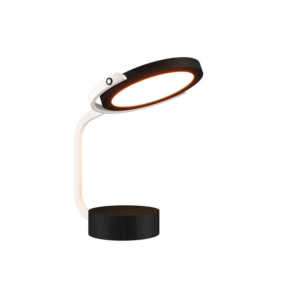 Accord Lighting 7061LED.44 Naia Led Table Lamp Table Lamp Charcoal