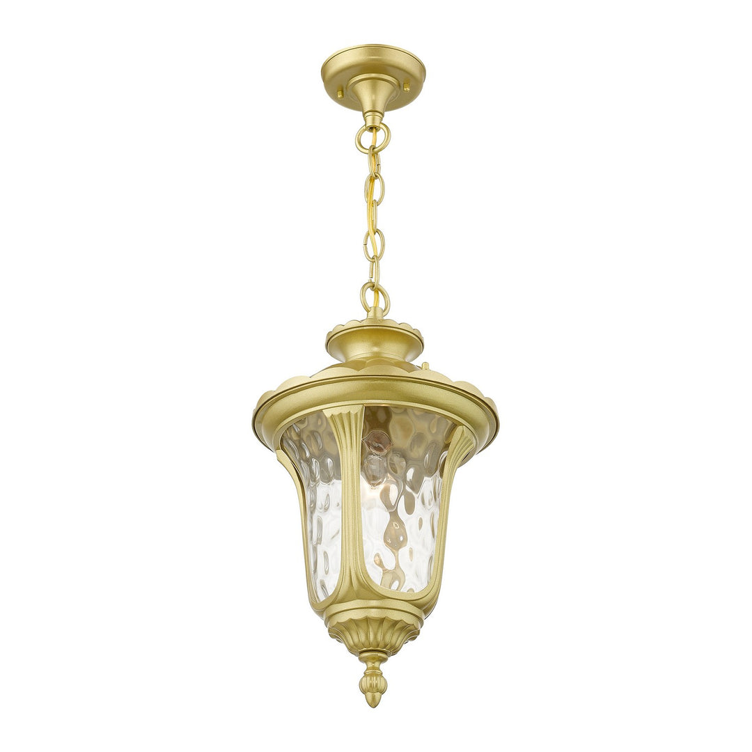 Livex Lighting 7854-33  Oxford Outdoor Soft Gold