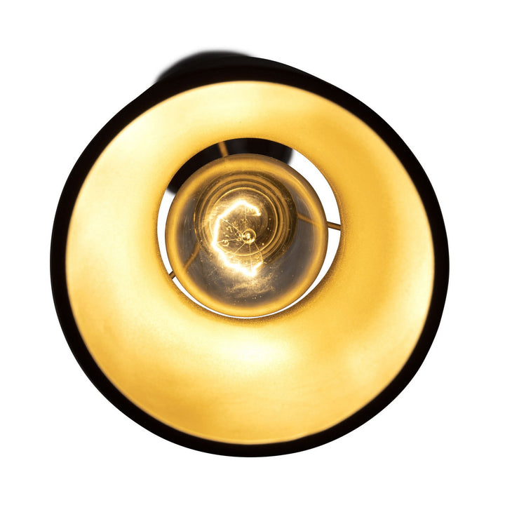 Varaluz Mad Hatter 390M01MBFG Pendant Light - Matte Black/French Gold