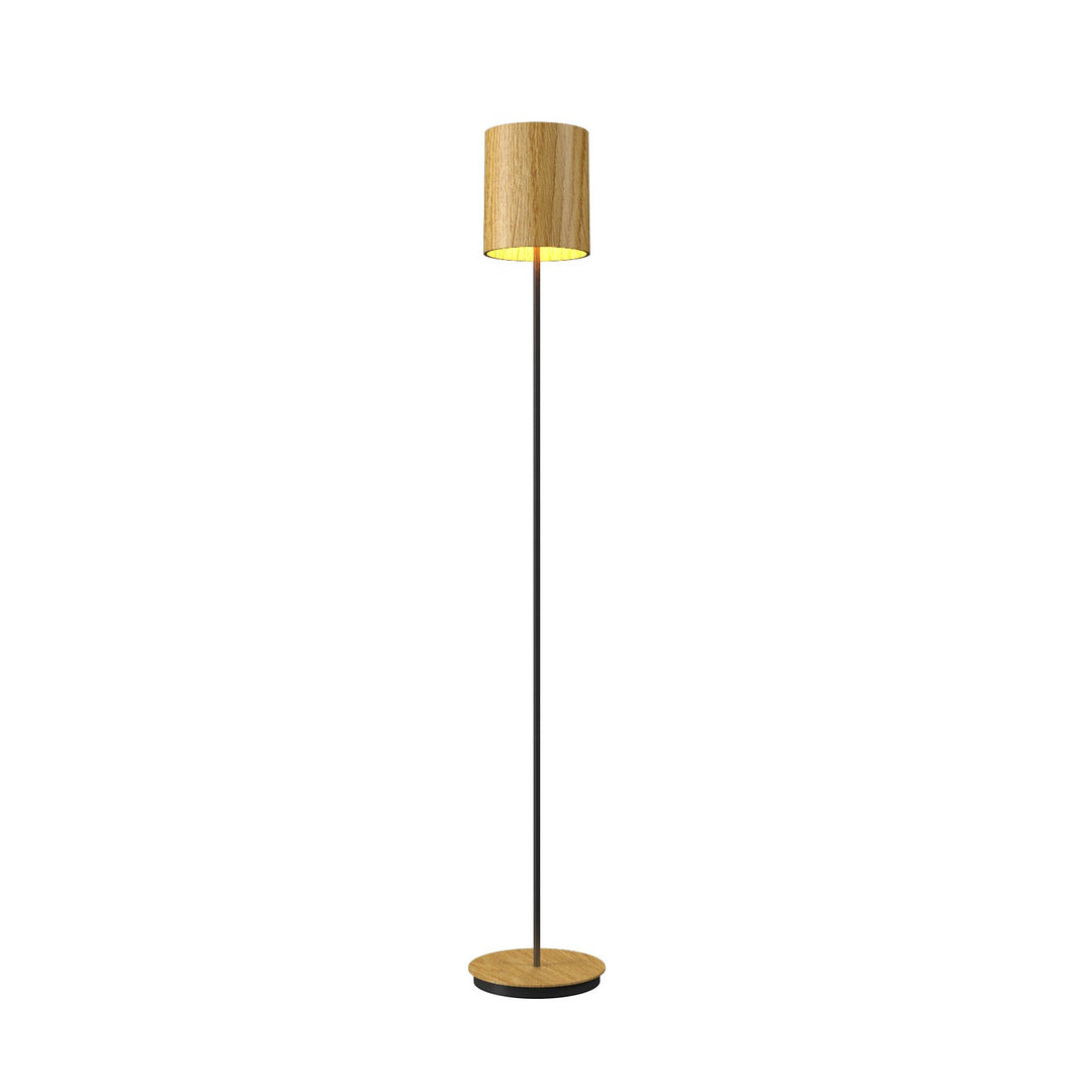 Accord Lighting 3054.43 Cylindrical One Light Floor Lamp Floor Lamp Cathedral Freijo