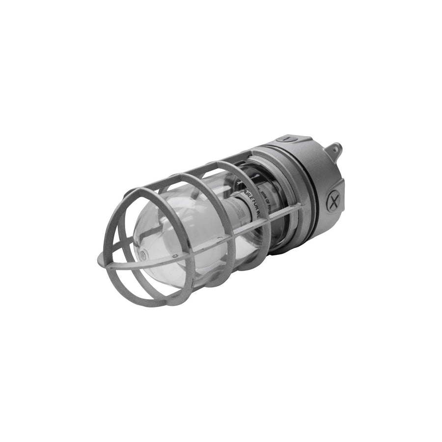 Maxlite Lighting 101443  Jelly Jar Ceiling Mounted 120v E26 Socket Wet Silver W/ 9w A19 Sbled Lamp 3000k  1