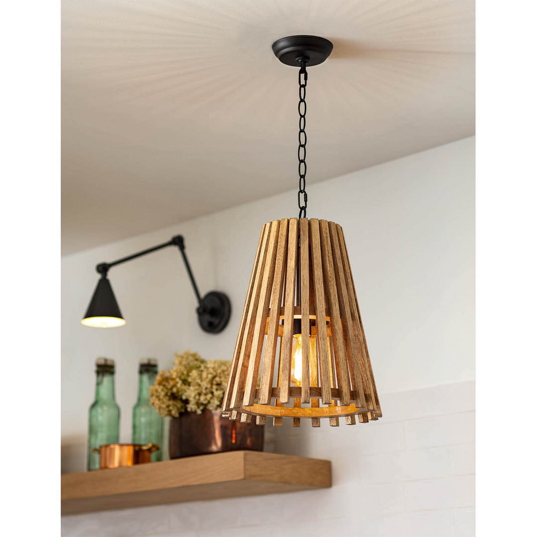 Regina Andrew 16-1301 Orchard One Light Pendant Natural 6